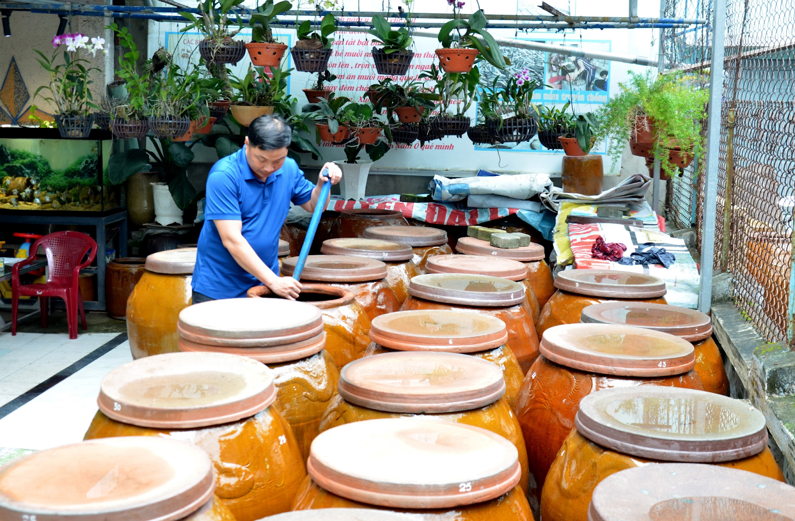 Discover the culture of the local people when having summer vacation to Da Nang - Nam O fish sauce